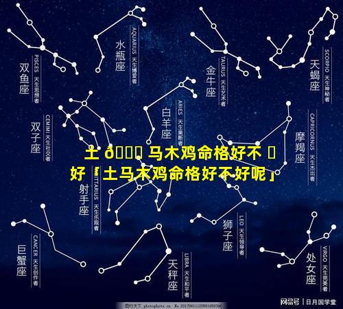 土 💐 马木鸡命格好不 ☘ 好「土马木鸡命格好不好呢」